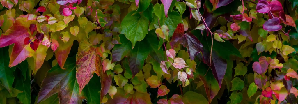 Herfstkleuren die je interieur laten stralen