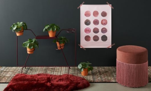 Een donkere basiskleur in antracietgrijs die de achtergrond vormt voor een bordeaux plantenstandaard