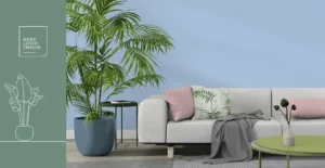 Wijzonol Most Loved Twelve kleuren - Rust en Balans