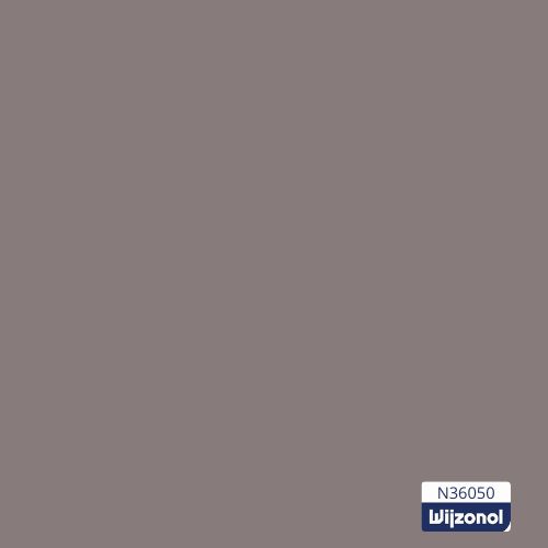 Wijzonol taupe N36050