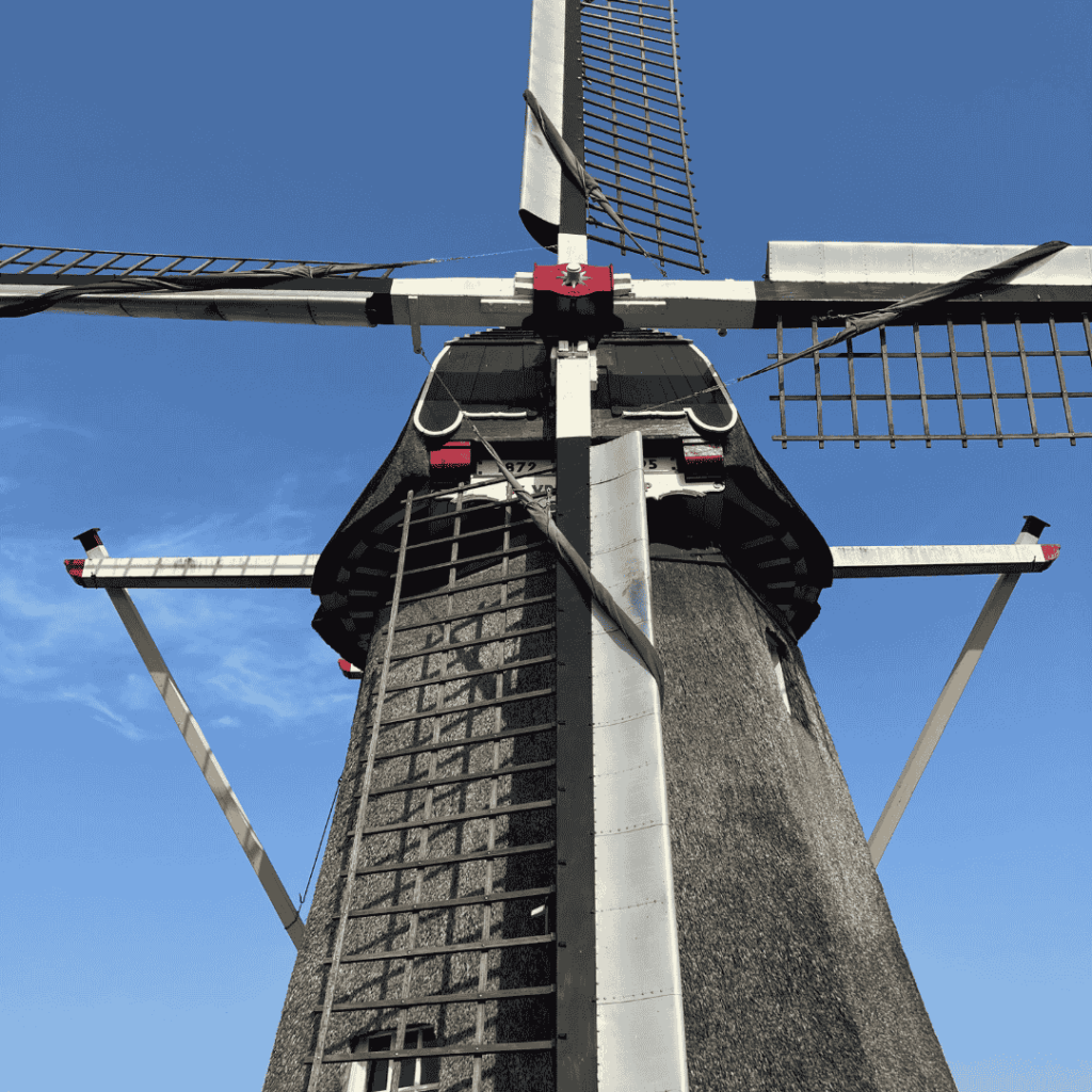 Molen De Vriendschap schittert weer dankzij Wijzonol