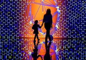 Digital Nature tentoonstelling Museum de Fundatie